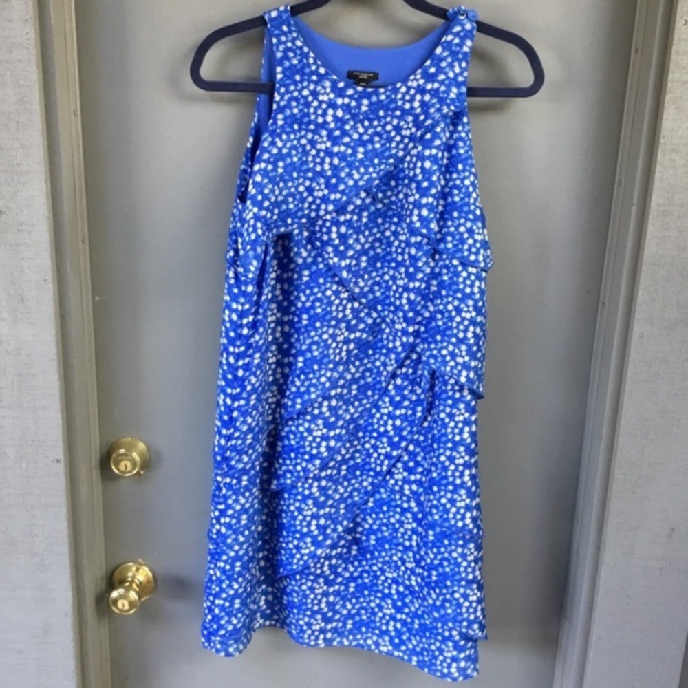 Ann Taylor’s silk dress in blue and white